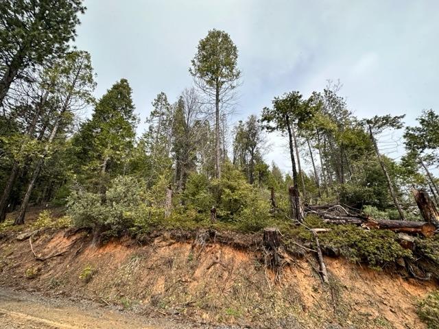 Mountain Misery Road, Twain Harte, California image 3