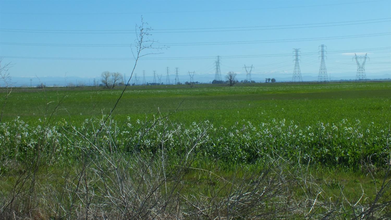 Baseline Road, Elverta, California image 2