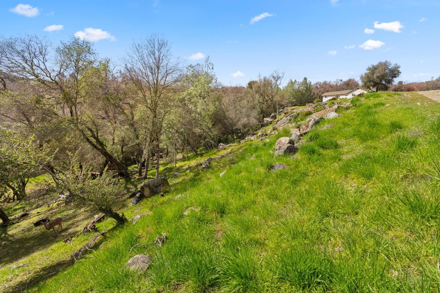 Detail Gallery Image 21 of 33 For 13303 Gold Ct, Penn Valley,  CA 95946 - – Beds | – Baths