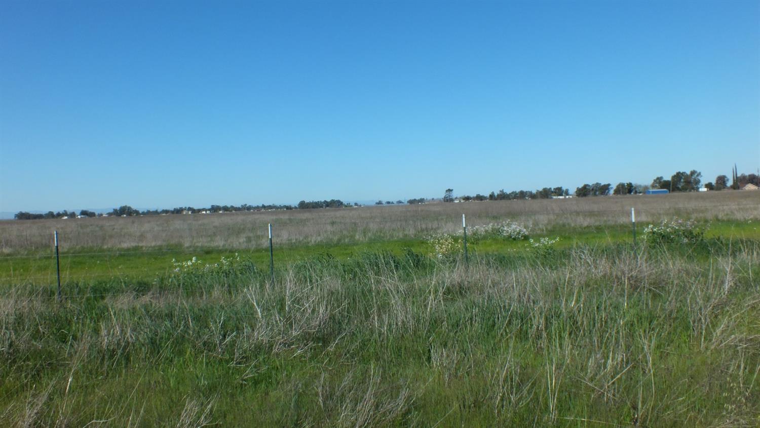 Baseline Road, Elverta, California image 4