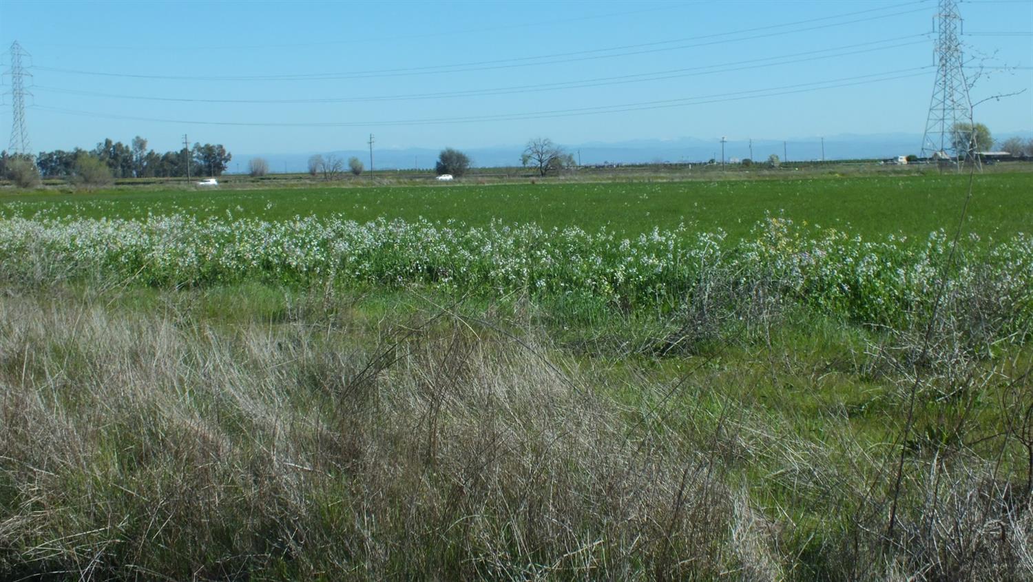 Baseline Road, Elverta, California image 8