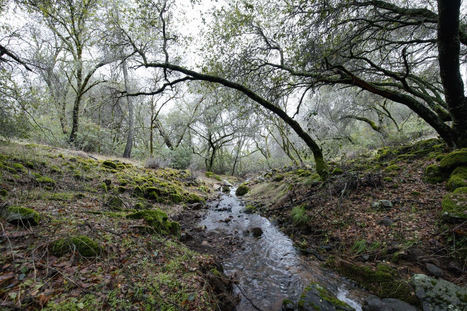 Rustic Creek Lane, Rescue, California image 24