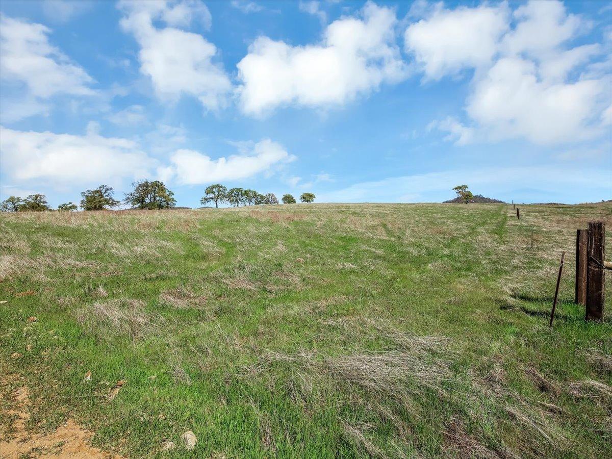 White Oak Drive, Grass Valley, California image 2