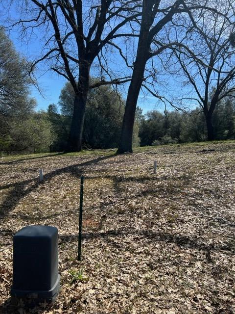 Lot 167 Darkhorse Drive, Auburn, California image 3