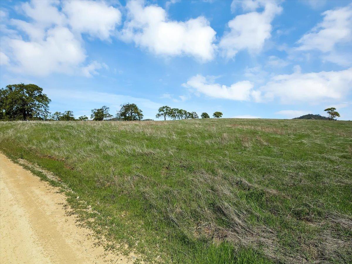 White Oak Drive, Grass Valley, California image 1