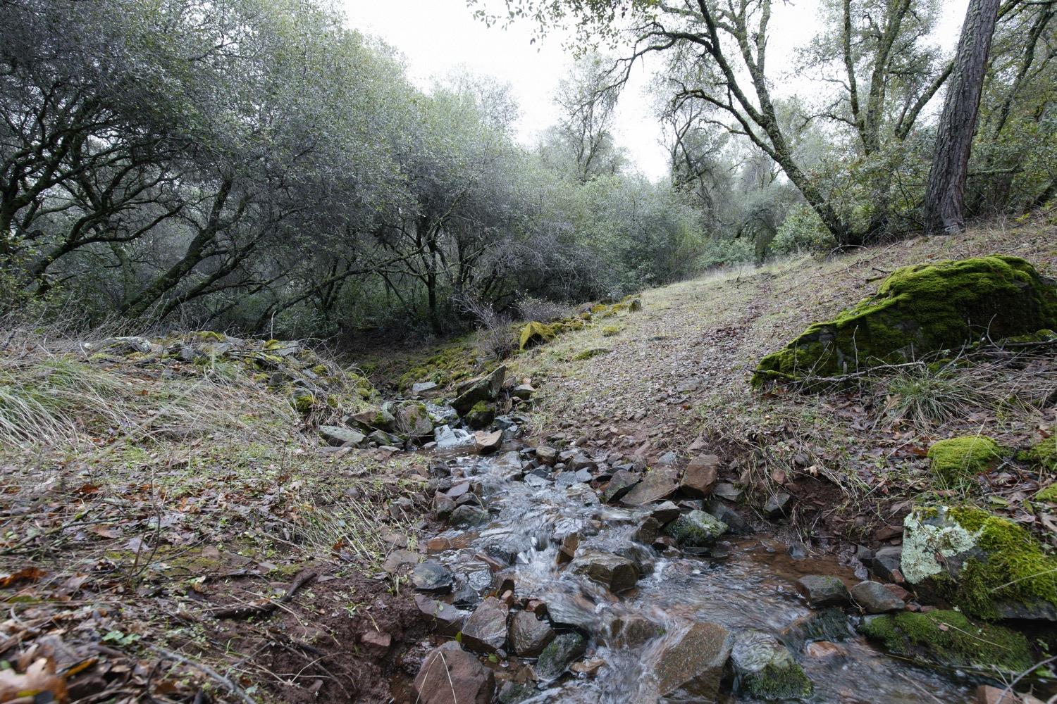 Rustic Creek Lane, Rescue, California image 11