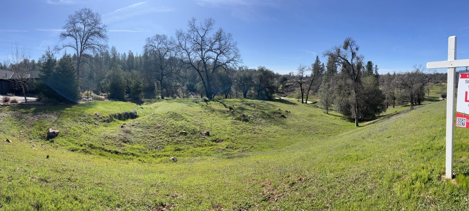 Photo of 12974-Lot 69 Austin Forest Cir in Auburn, CA