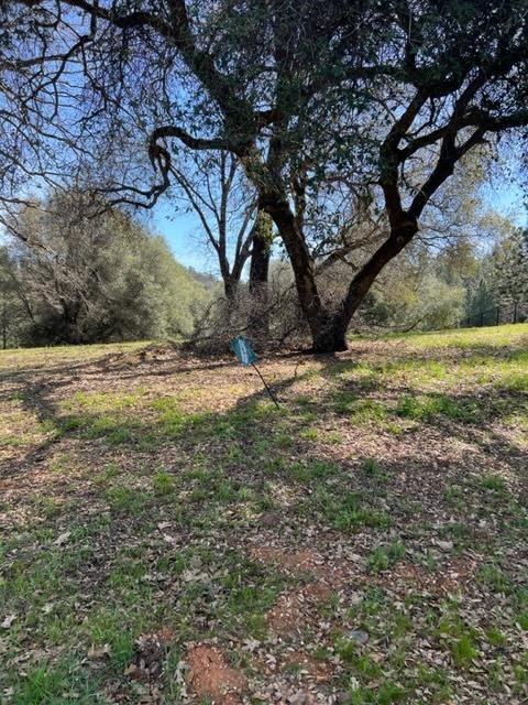 Photo of 23523-Lot 167 Darkhorse Dr in Auburn, CA