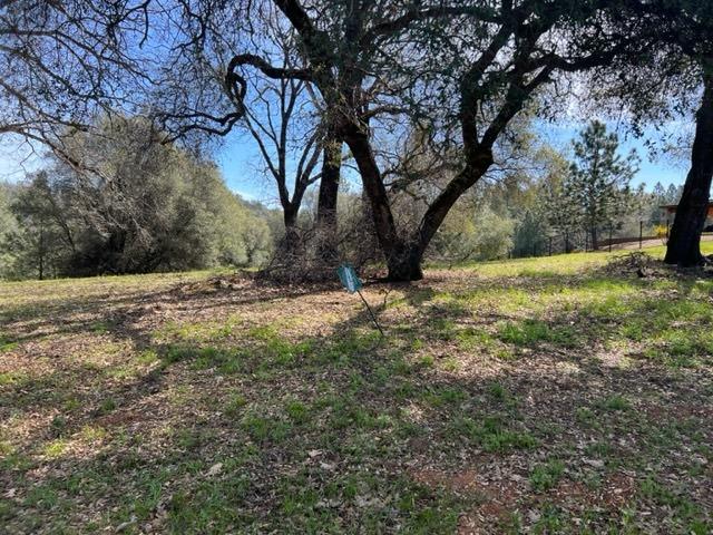 Lot 167 Darkhorse Drive, Auburn, California image 4