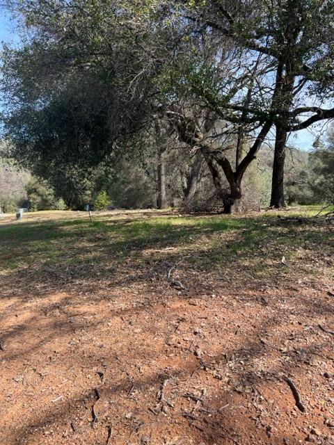 Lot 167 Darkhorse Drive, Auburn, California image 7