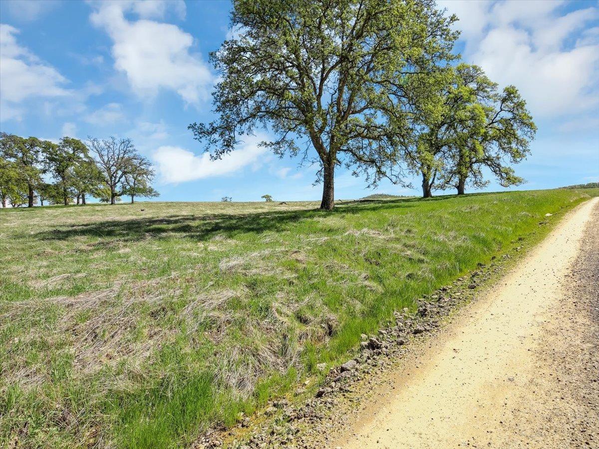 White Oak Drive, Grass Valley, California image 3