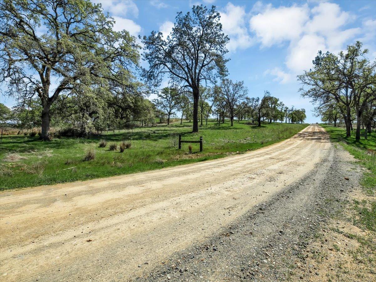 White Oak Drive, Grass Valley, California image 7