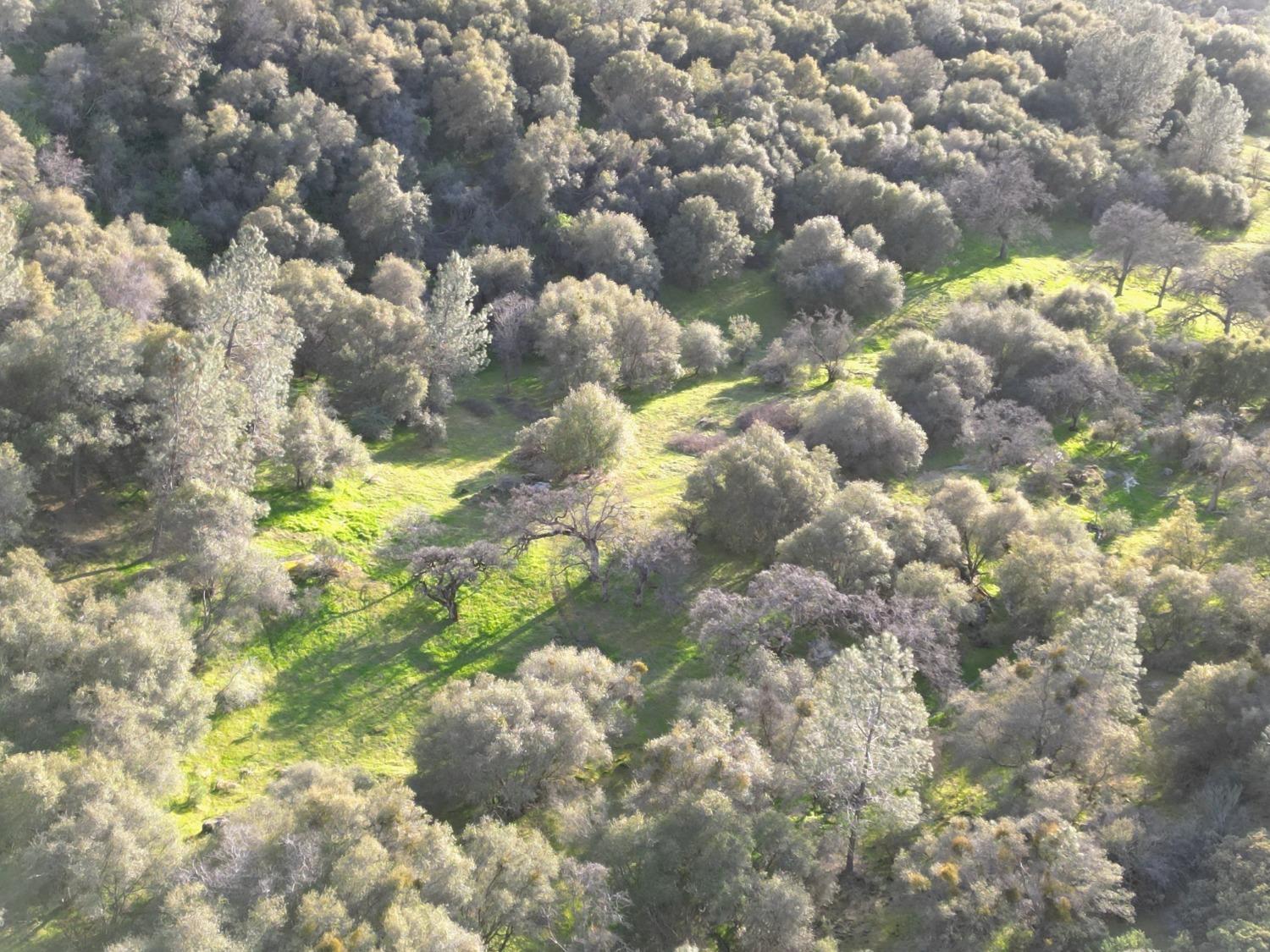 Usona Rd., Mariposa, California image 21