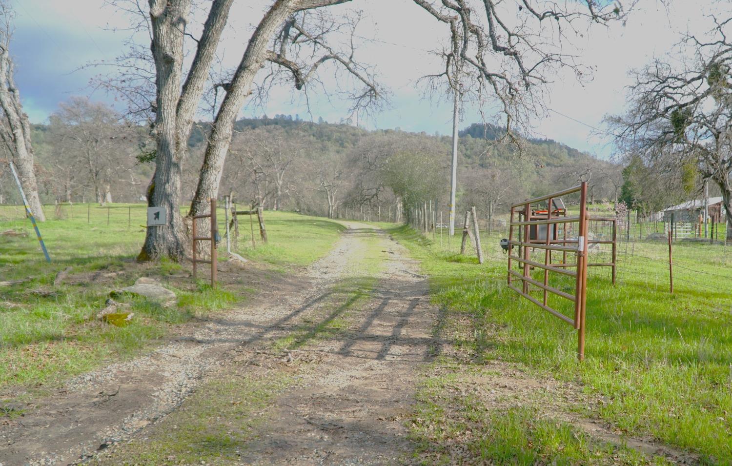 Usona Rd., Mariposa, California image 17