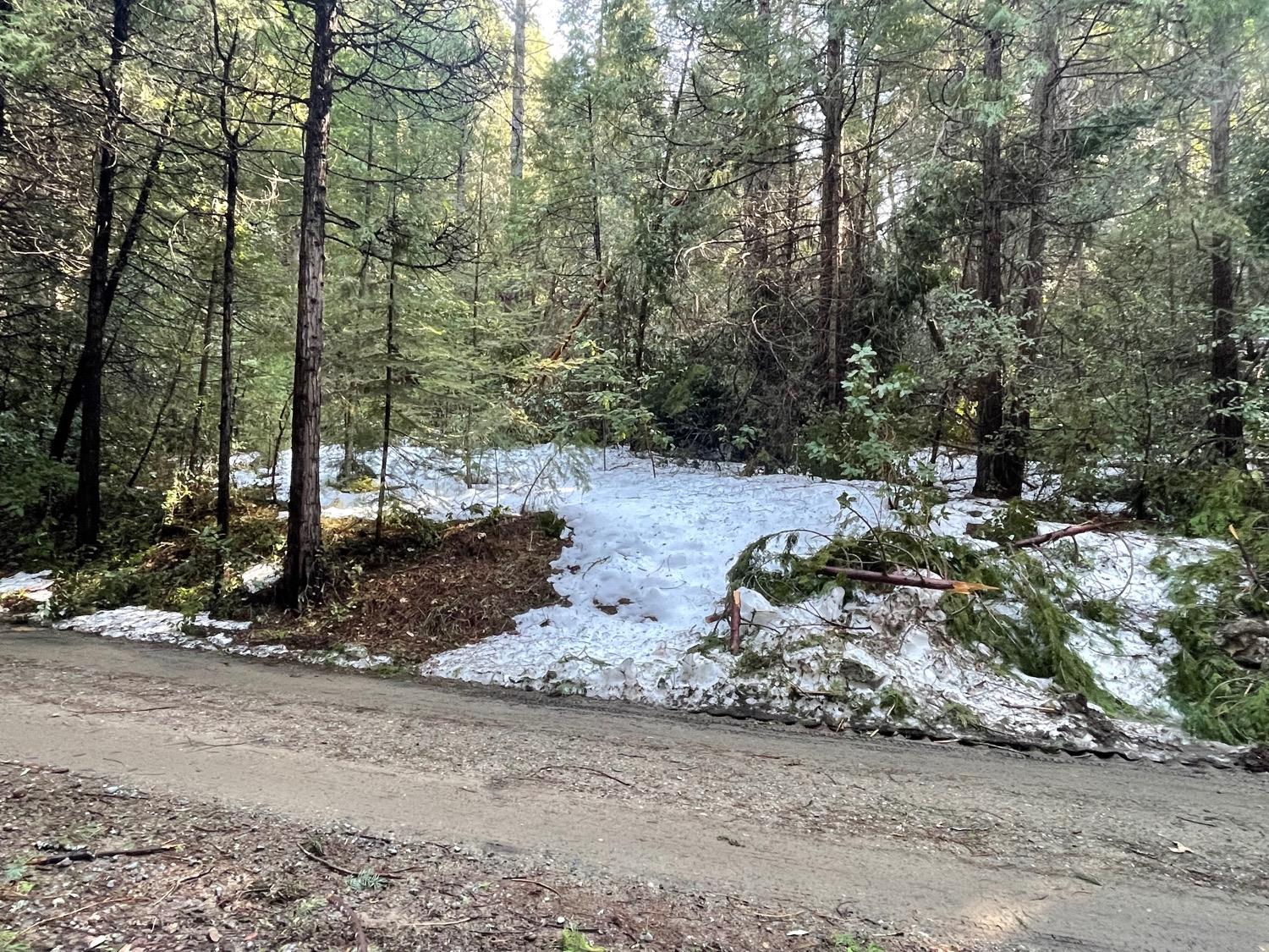 New York Flat Rd, Forbestown, California image 2
