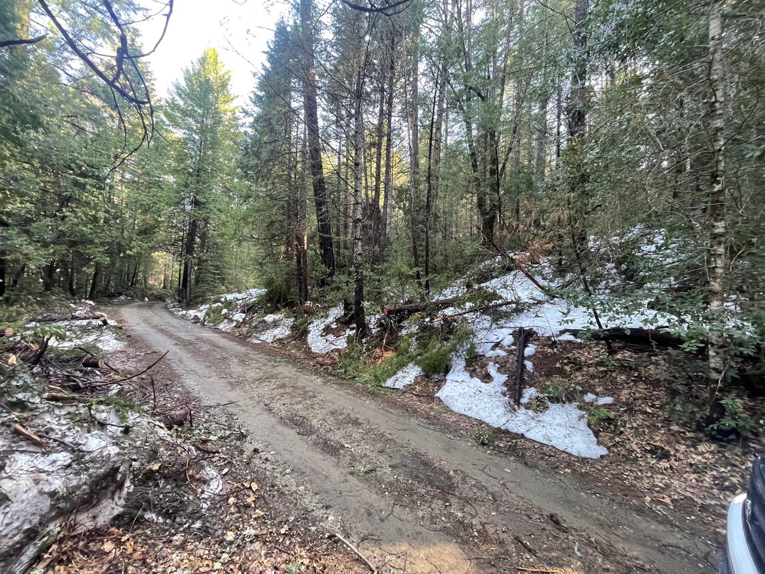 New York Flat Rd, Forbestown, California image 1