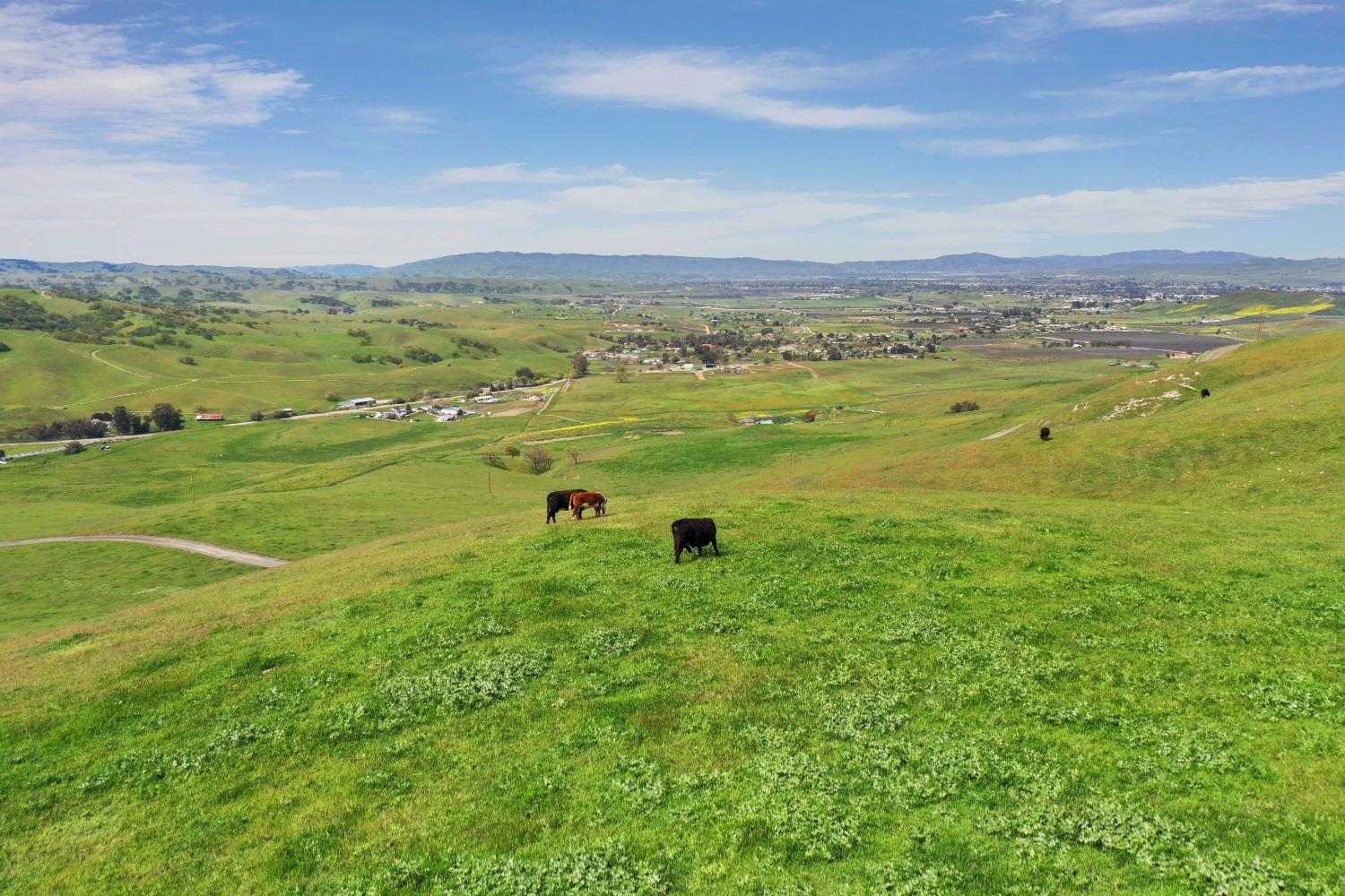 Reuss Road, Livermore, California image 22