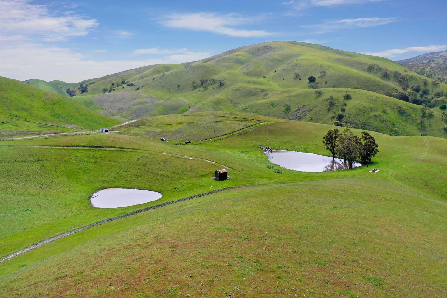 Reuss Road, Livermore, California image 2