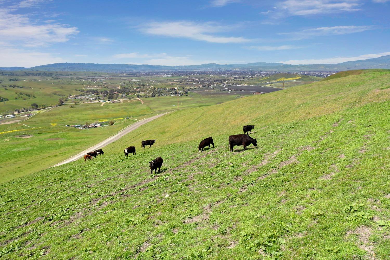 Reuss Road, Livermore, California image 8