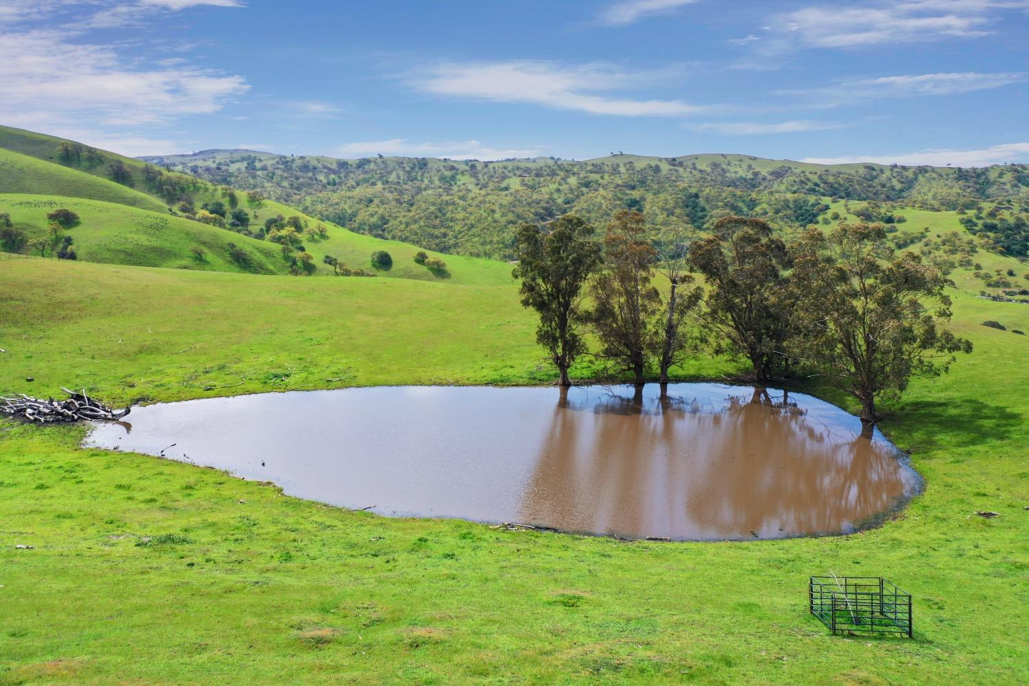 Reuss Road, Livermore, California image 17