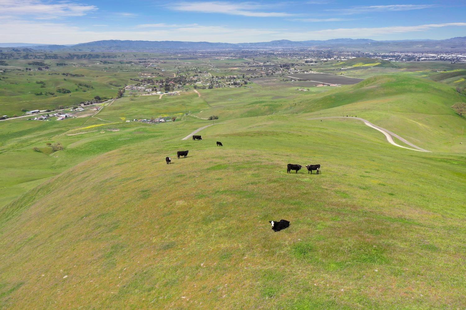 Reuss Road, Livermore, California image 5