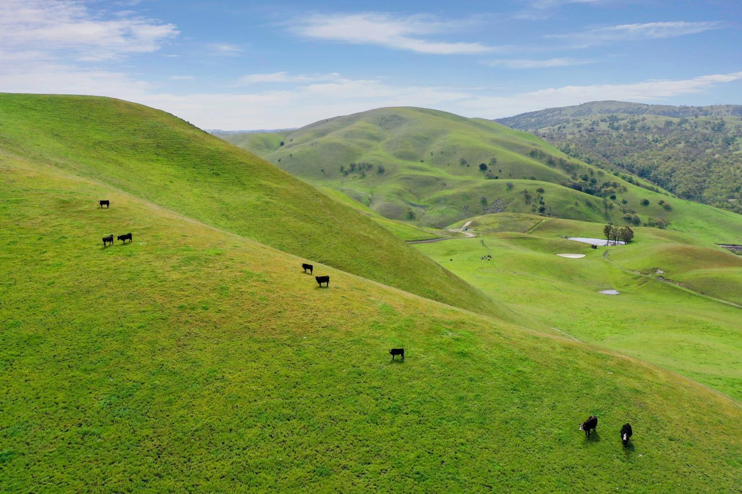 Reuss Road, Livermore, California image 6