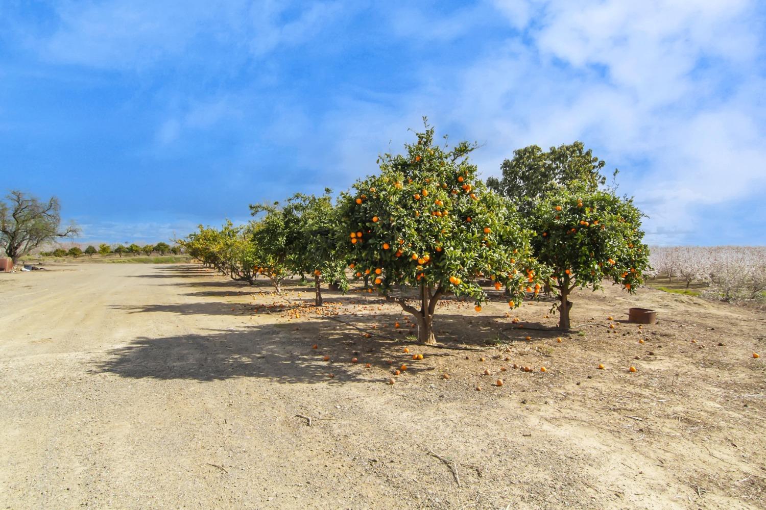 85a, Dunnigan, California image 17