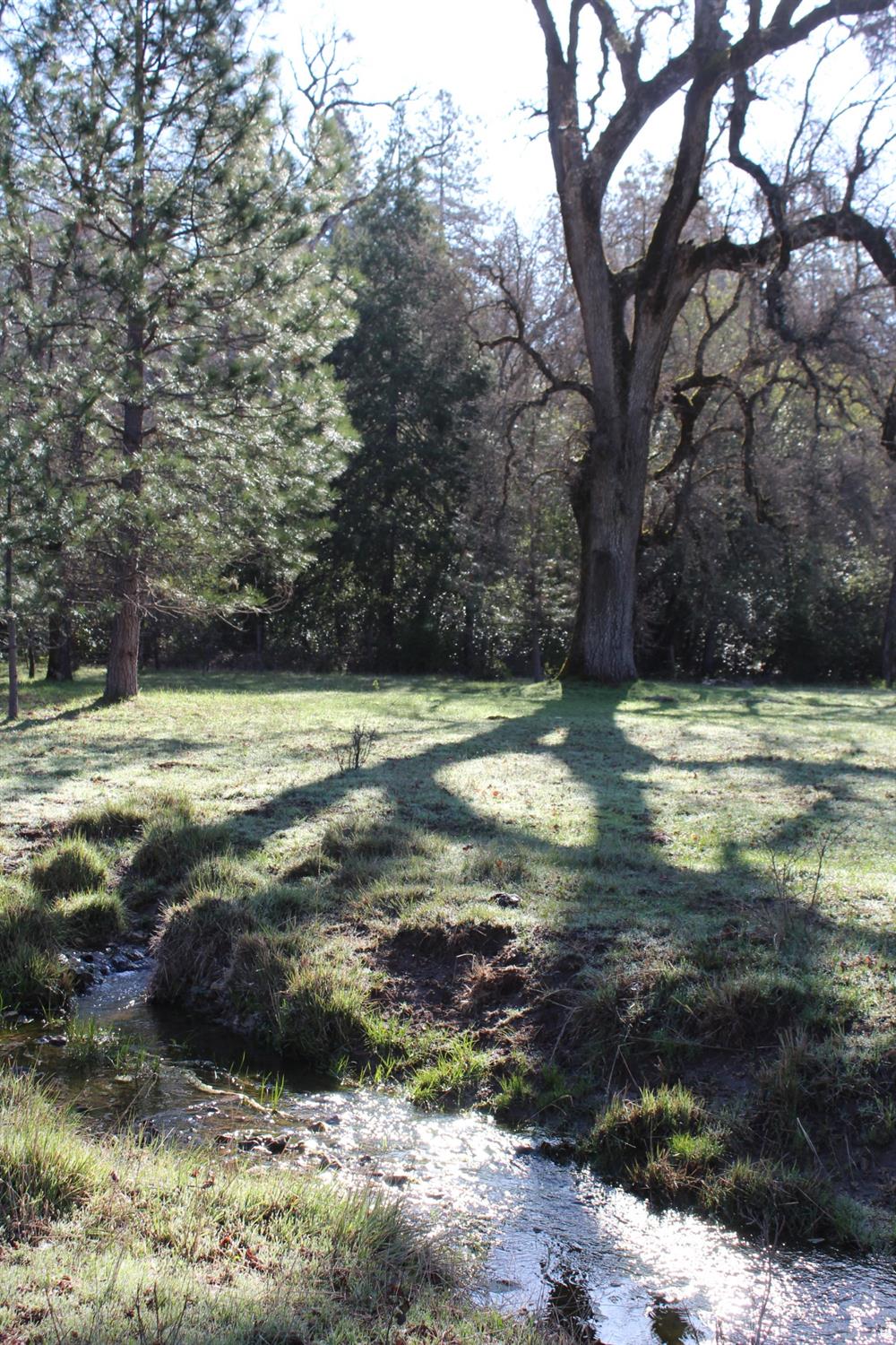Photo of 10879 Powder House Trl in Dobbins, CA