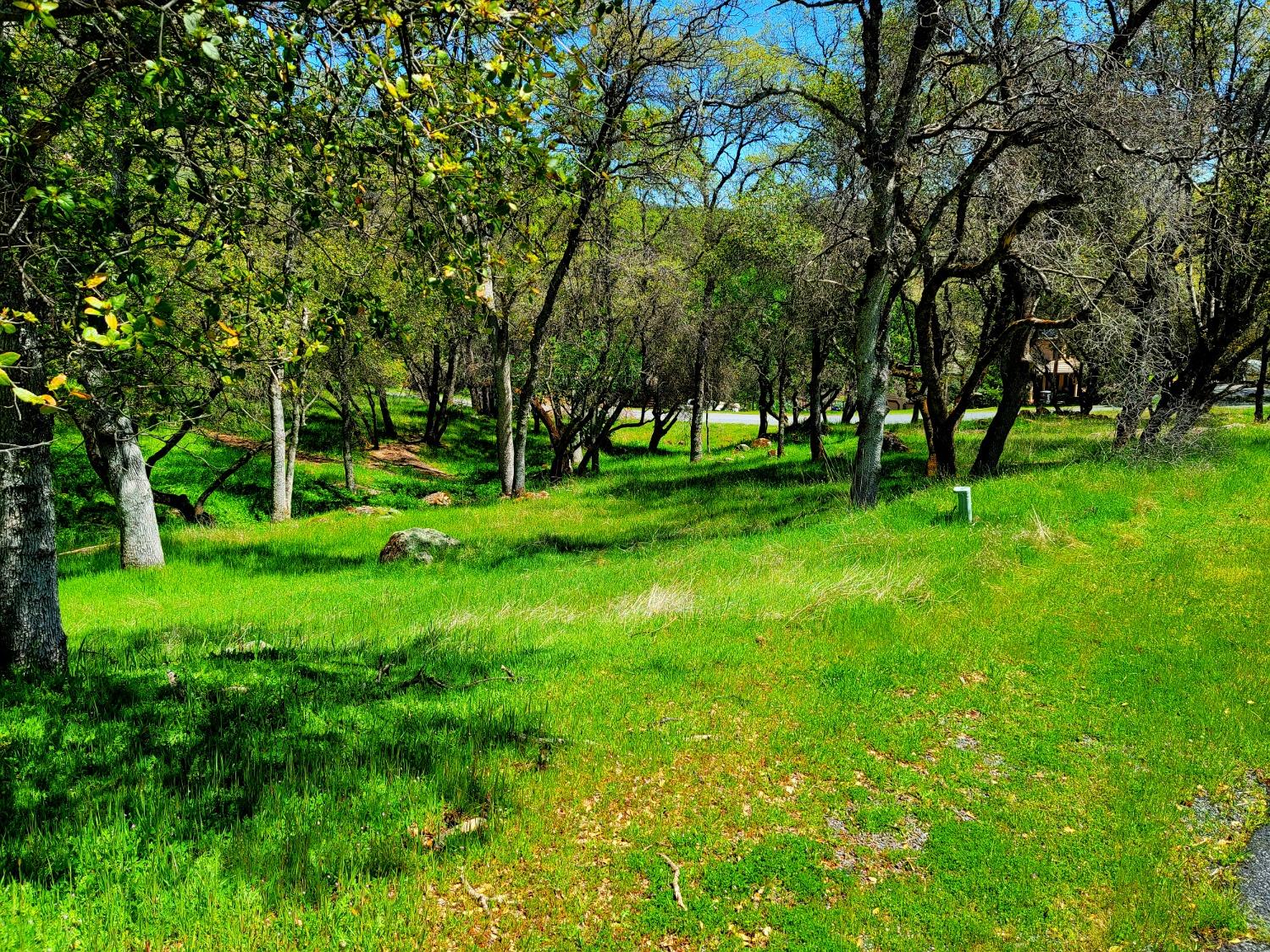 Photo of 3600 Upland Dr in Auburn, CA