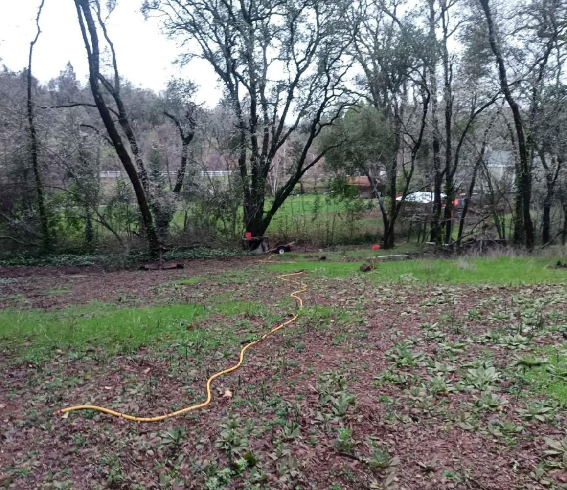 Photo of Millertown Rd in Auburn, CA