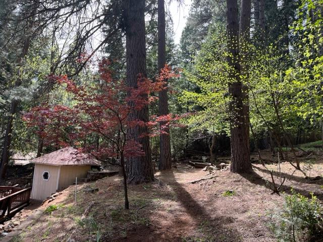 Kokanee Lane, Pollock Pines, California image 38