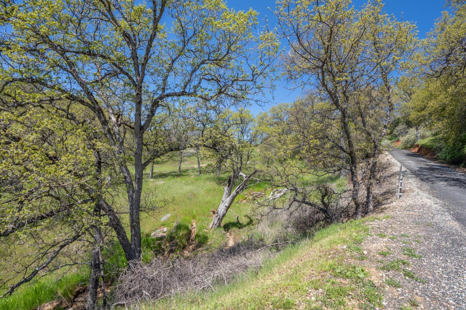 Paint Road, Angels Camp, California image 13