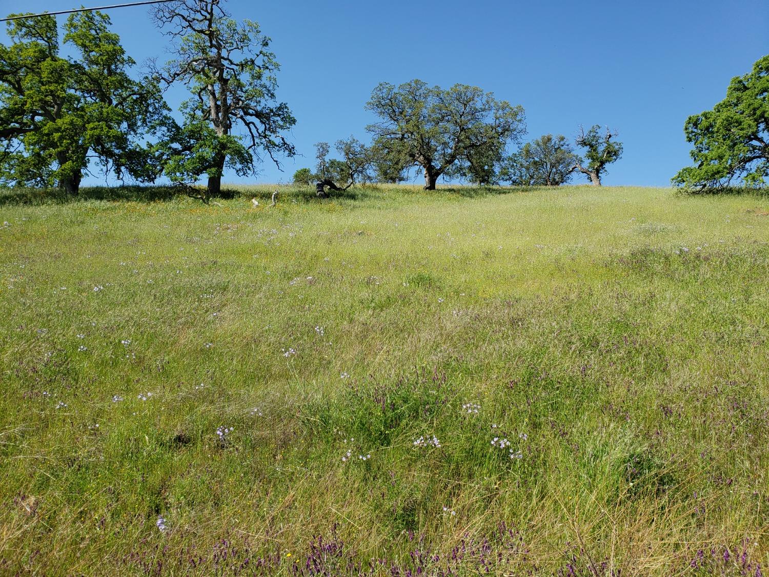 Mirasol Way, La Grange, California image 5