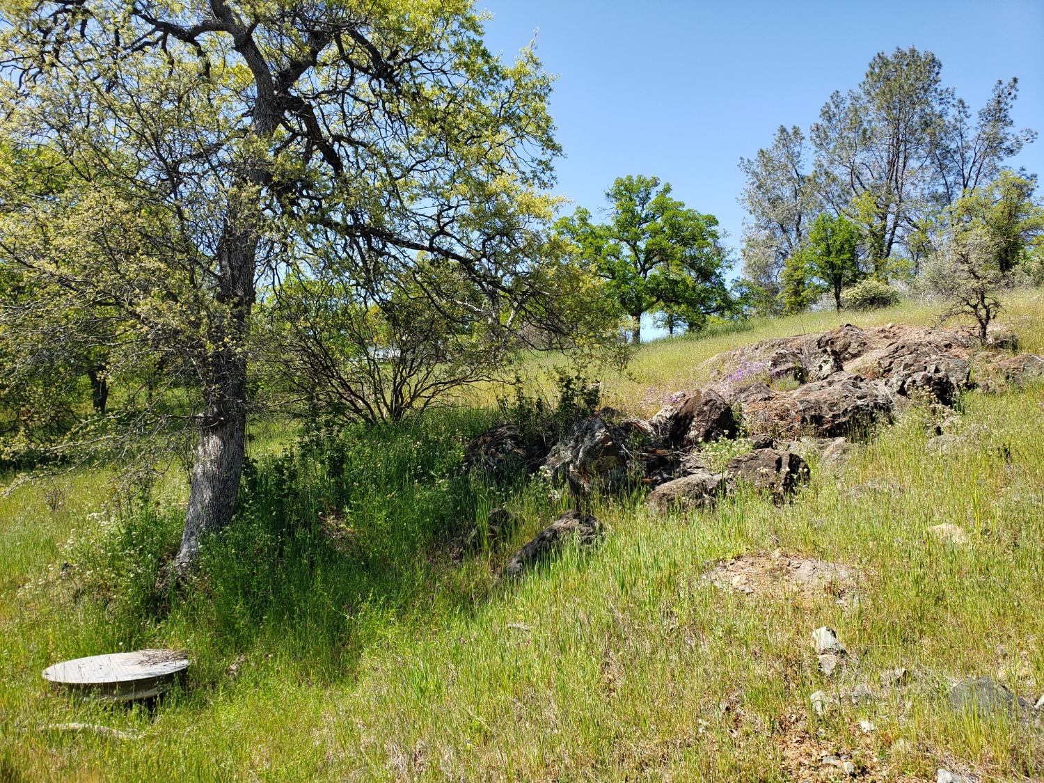 Chicharra Way, Coulterville, California image 1