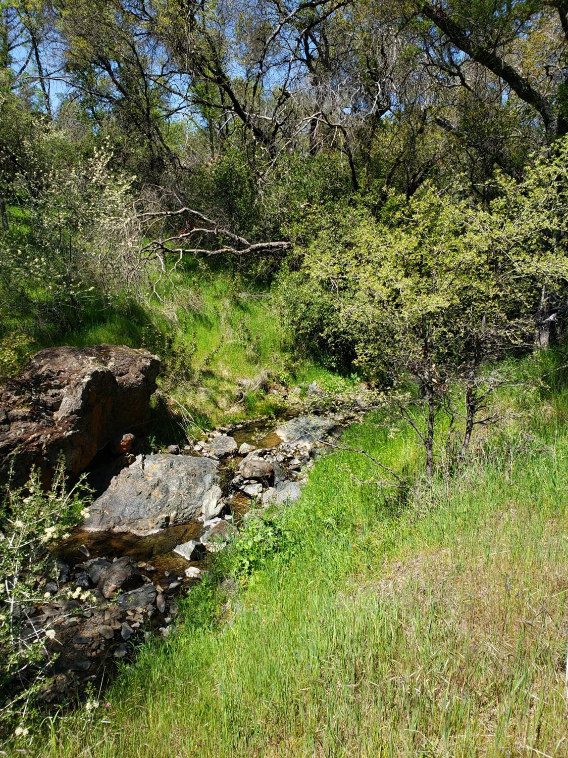 Chicharra Way, Coulterville, California image 8