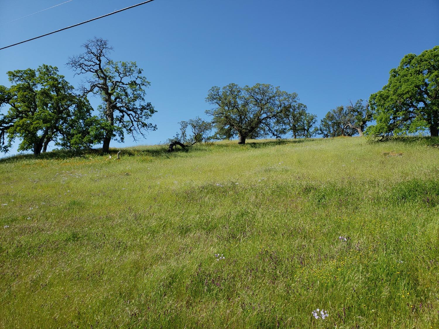 Mirasol Way, La Grange, California image 3