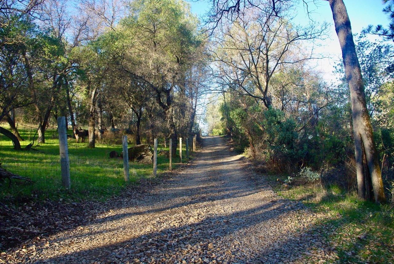 Beitler Road, Nevada City, California image 8