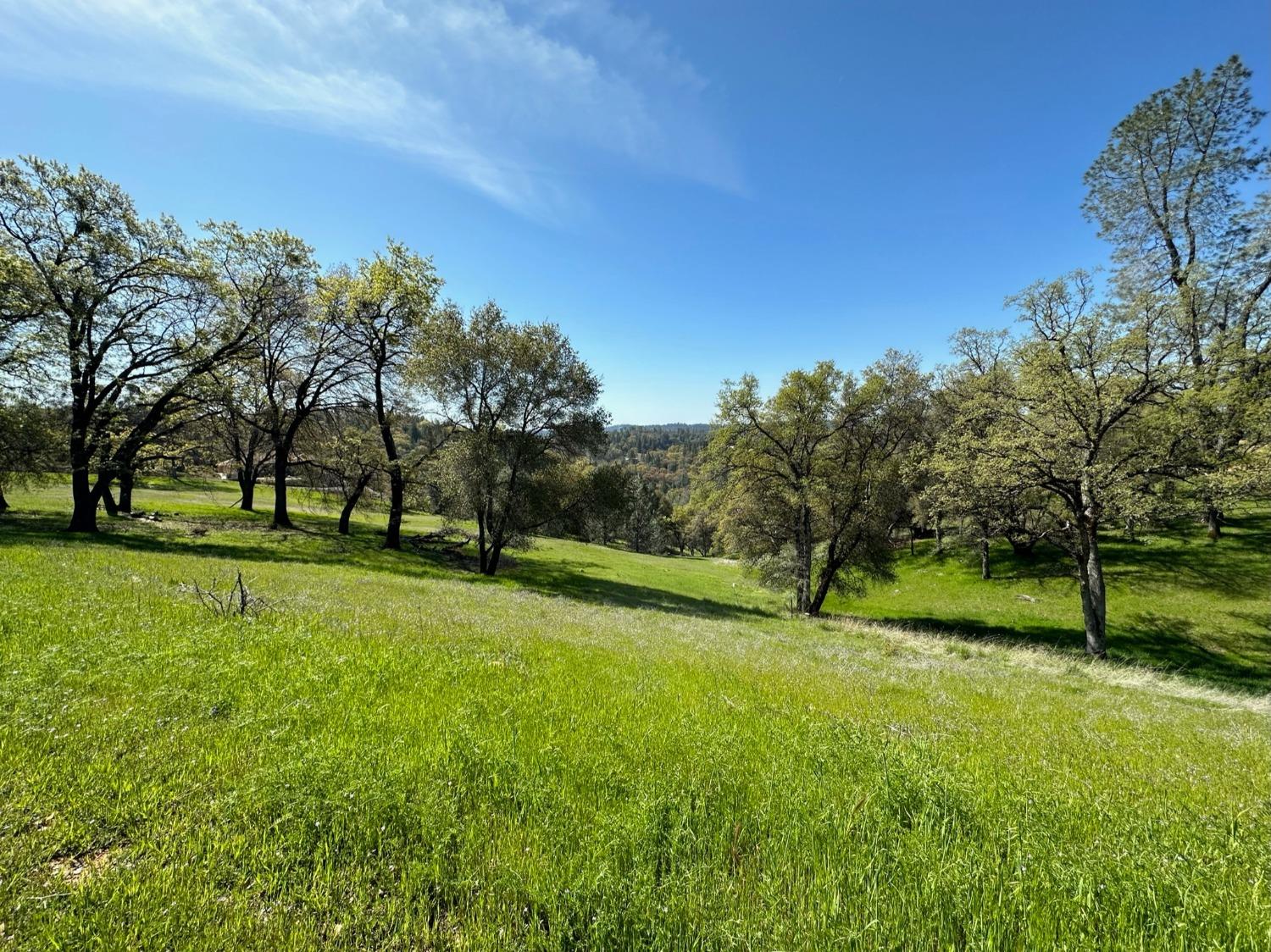 Lot 217 Darkhorse Drive, Auburn, California image 5