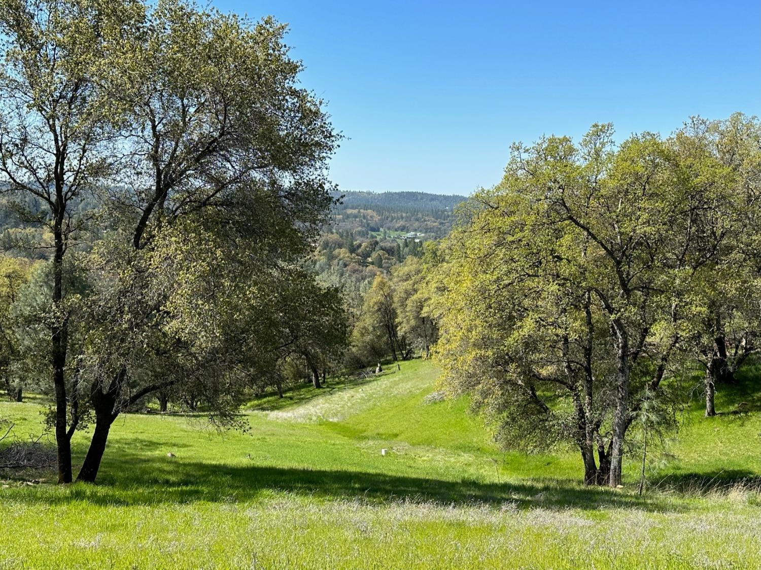 Lot 217 Darkhorse Drive, Auburn, California image 8