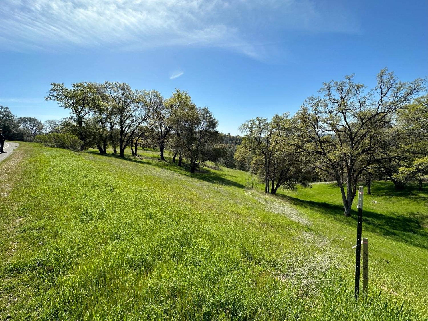 Lot 217 Darkhorse Drive, Auburn, California image 3