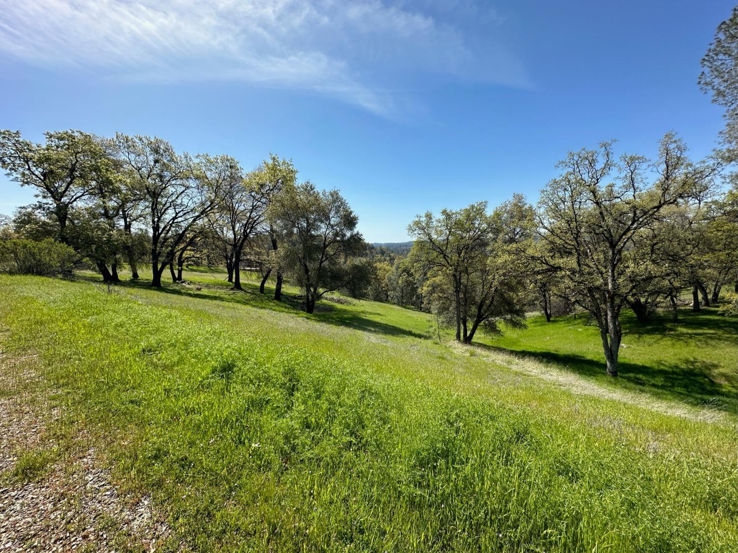 Lot 217 Darkhorse Drive, Auburn, California image 4