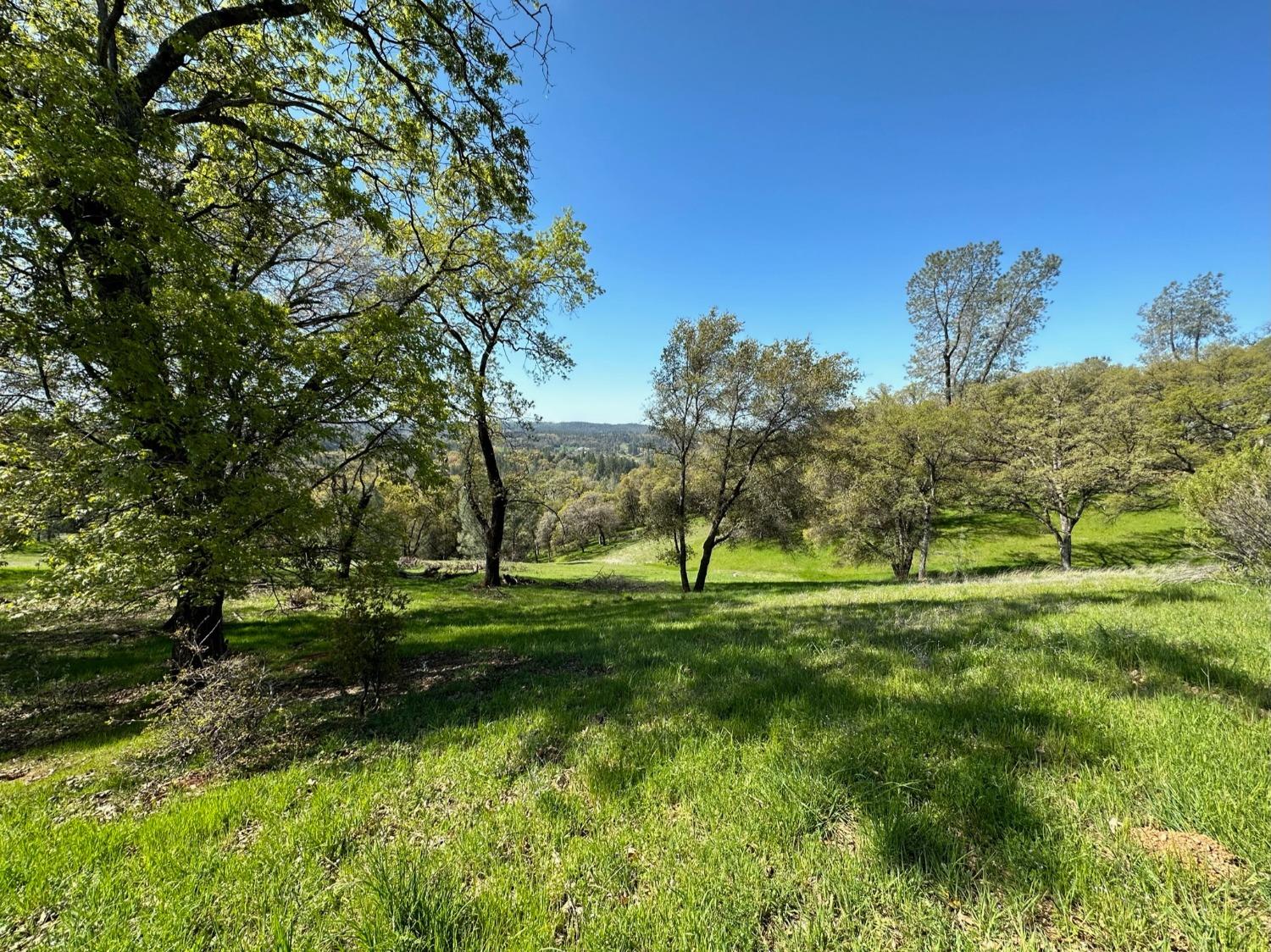 Lot 217 Darkhorse Drive, Auburn, California image 9