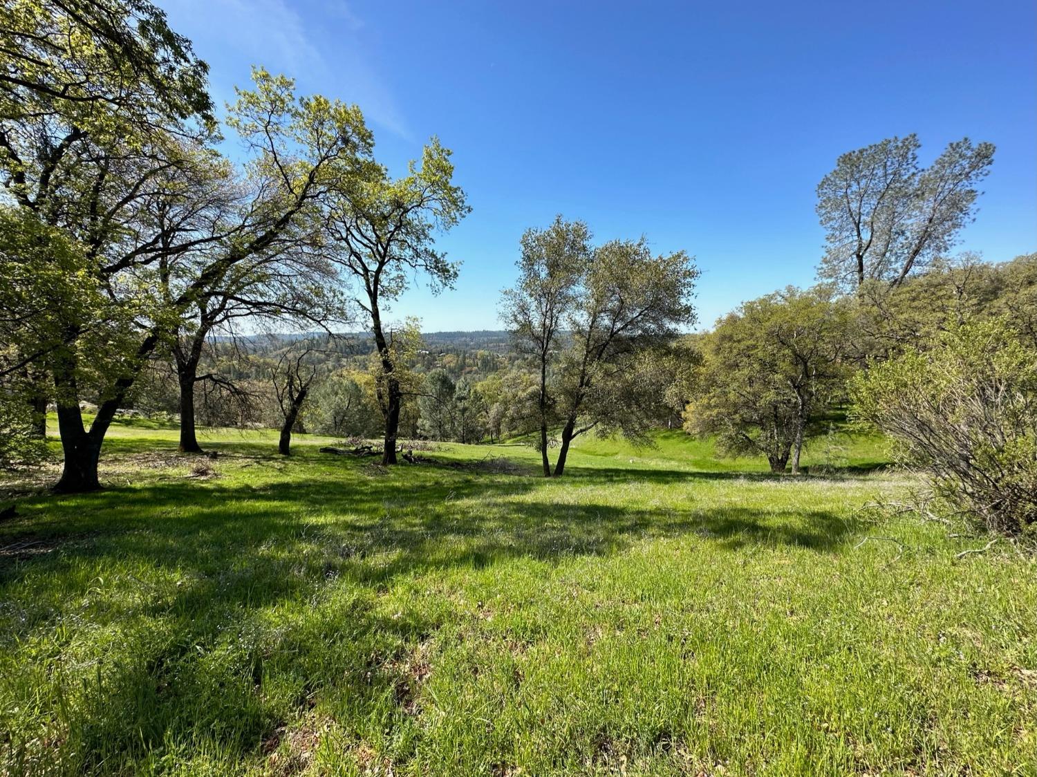 Lot 217 Darkhorse Drive, Auburn, California image 11