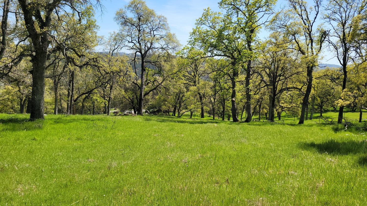 Applejack Drive, Grass Valley, California image 1