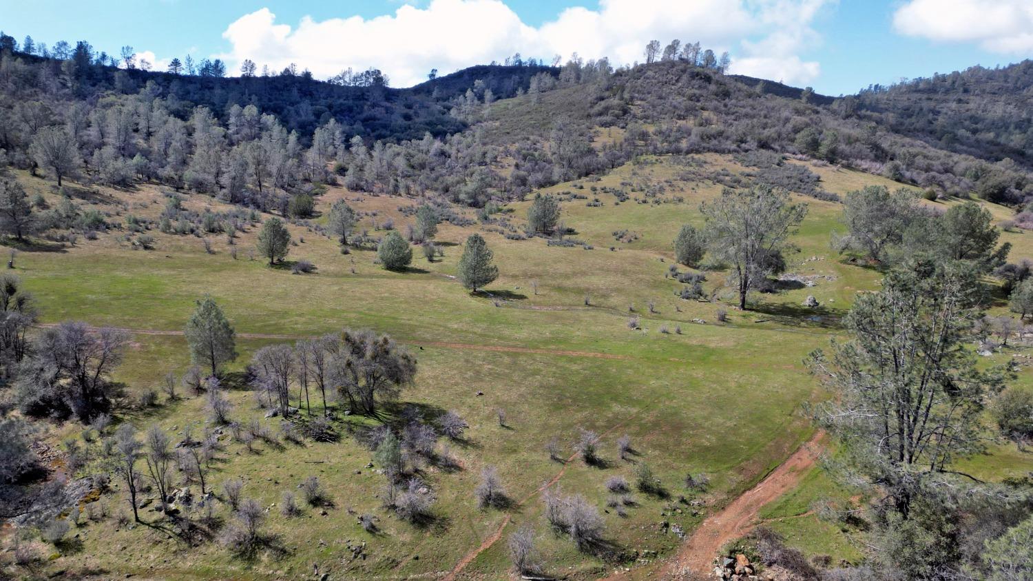 Photo of Tbd Blacks Creek Rd in Coulterville, CA