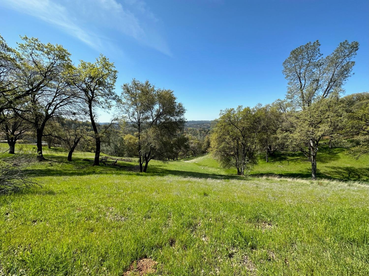 Lot 217 Darkhorse Drive, Auburn, California image 1