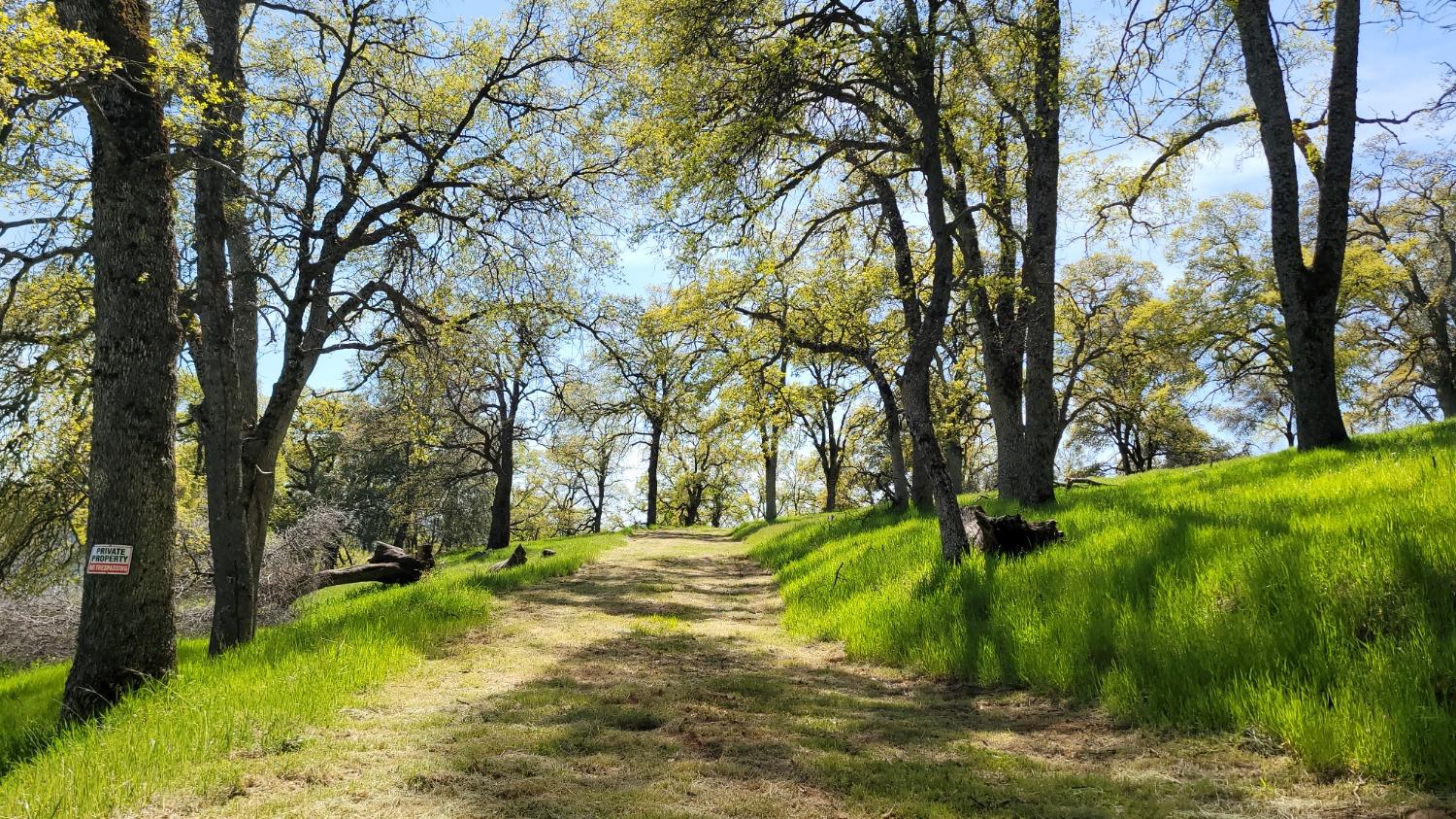 Applejack Drive, Grass Valley, California image 11