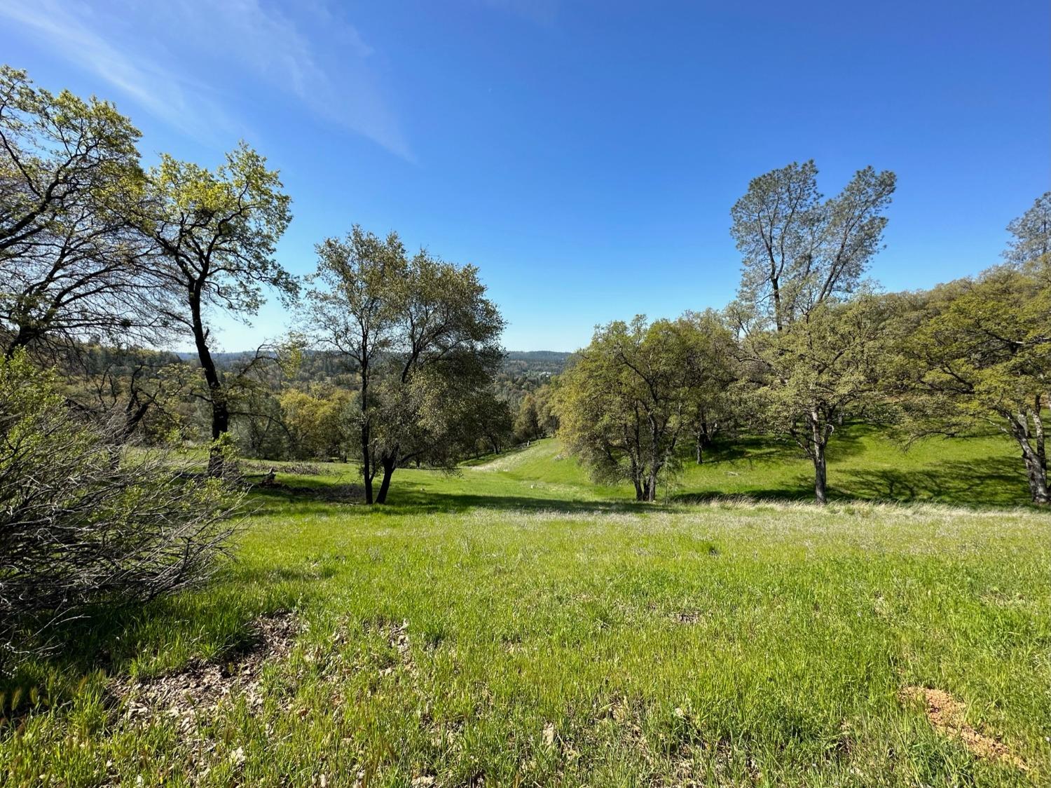 Lot 217 Darkhorse Drive, Auburn, California image 10