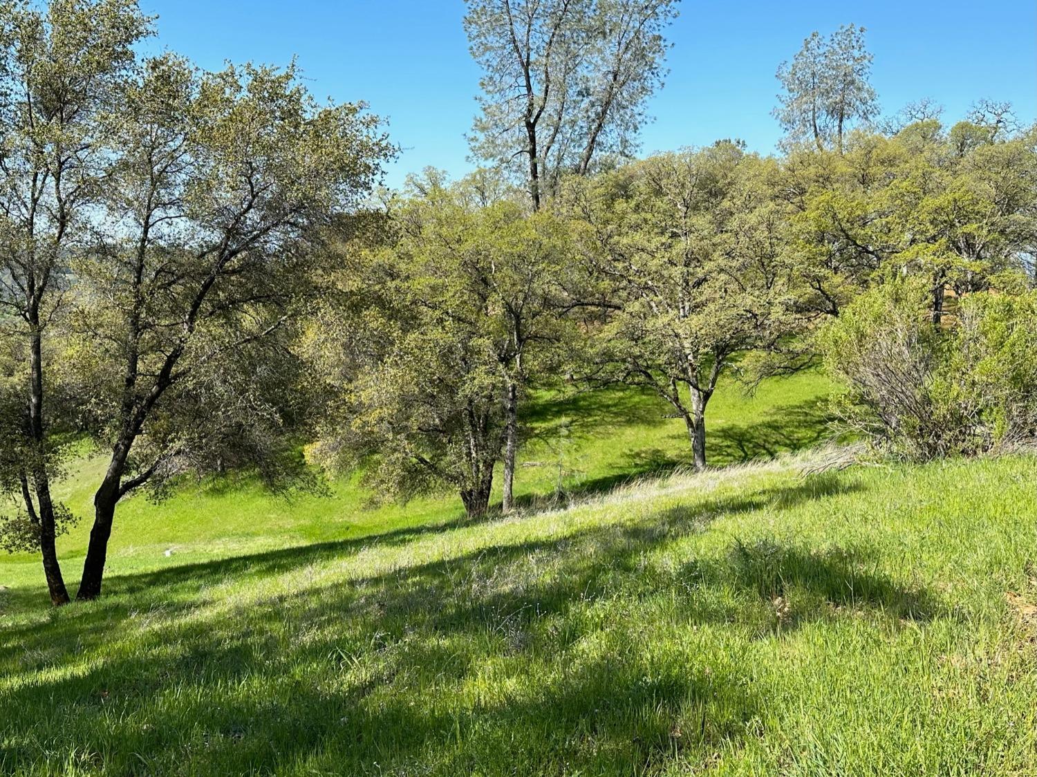 Lot 217 Darkhorse Drive, Auburn, California image 6