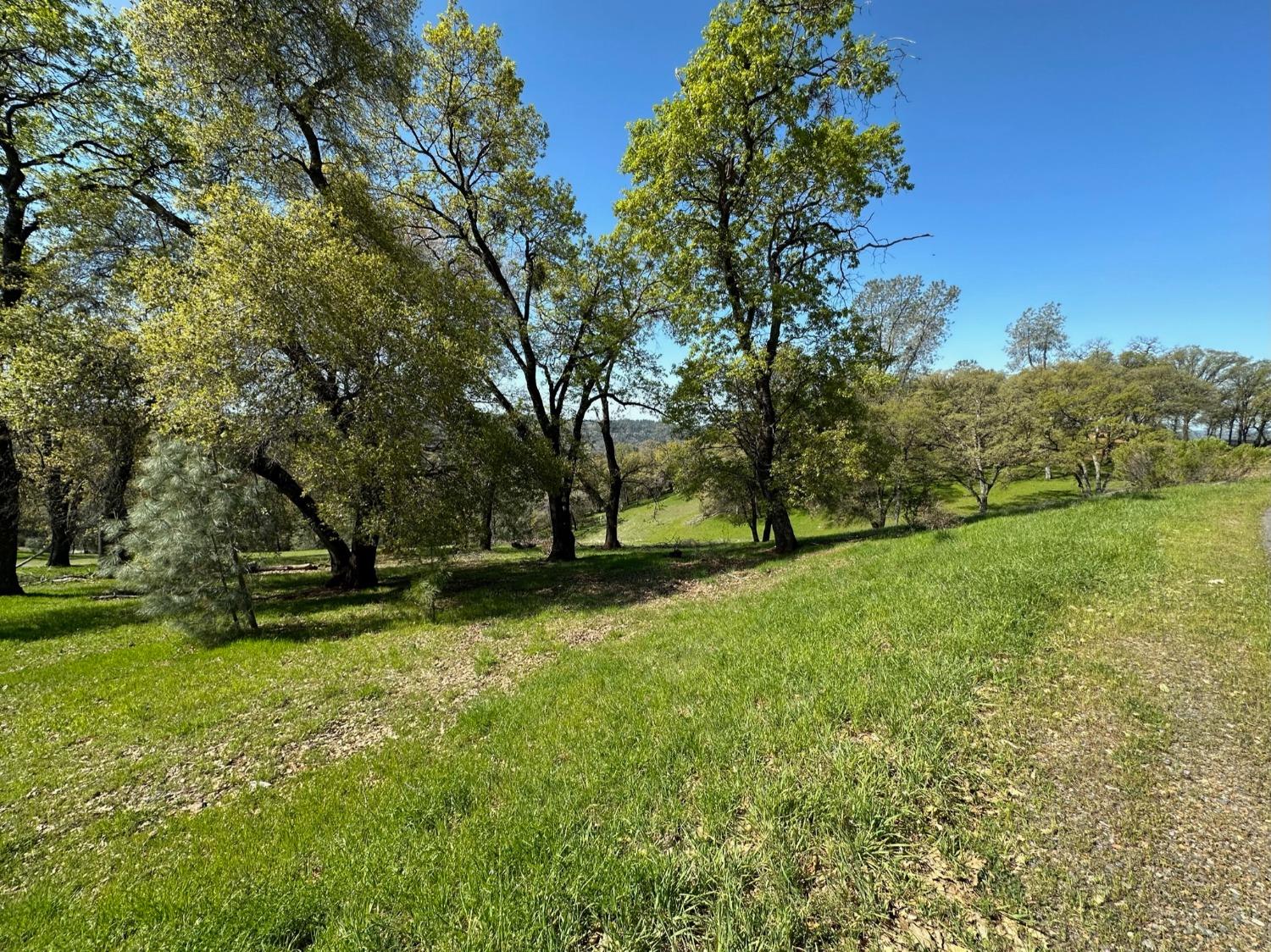 Lot 217 Darkhorse Drive, Auburn, California image 7